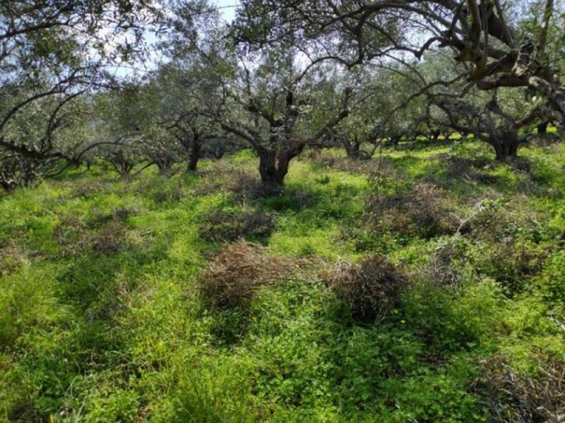 Milatos Zum Verkauf auf Kreta, Milatos: Baugrundstück in der Nähe des Hafens Grundstück kaufen